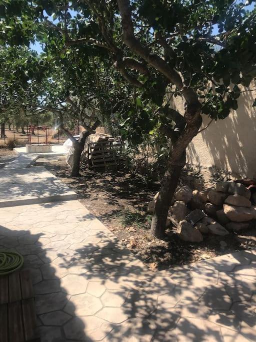 Πέτρινη Κατοικία Στην Αίγινα - Stone House In Aigina Khloi Exteriör bild