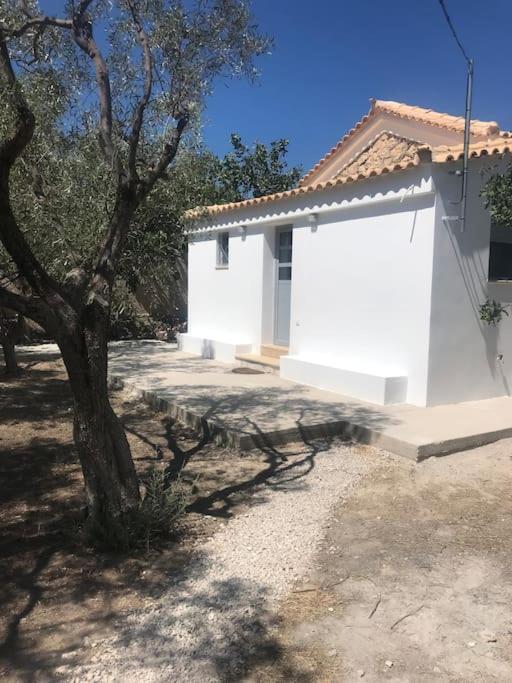 Πέτρινη Κατοικία Στην Αίγινα - Stone House In Aigina Khloi Exteriör bild